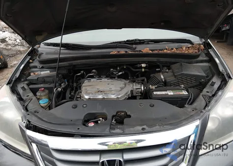 2008 Honda Odyssey Ex-L z USA, uszkodzony, nr VIN 5FNRL38768B111361